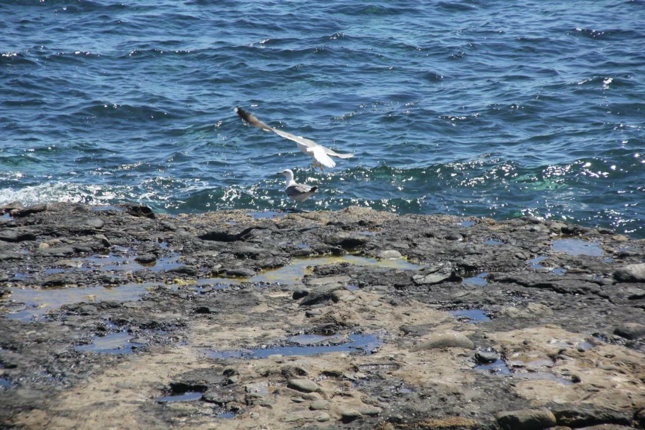 Seagull Estudios Pozo Izquierdo Eksteriør bilde